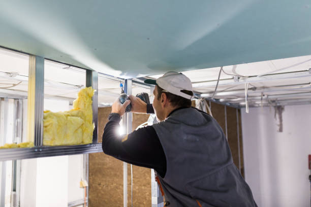 Best Insulation Installation Services in Cave Spring, VA