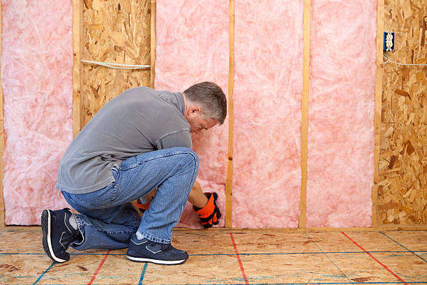 Best Specialty Insulation in Cave Spring, VA