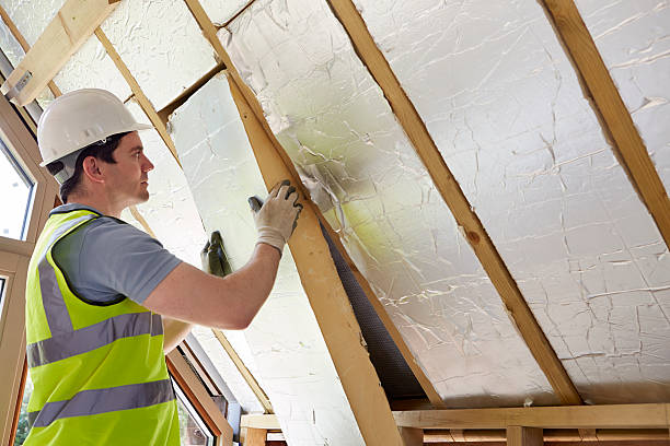 Best Commercial Insulation in Cave Spring, VA